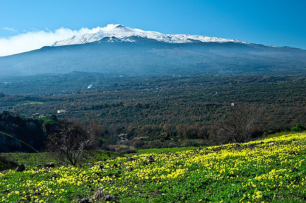 Weintasting Sizilien